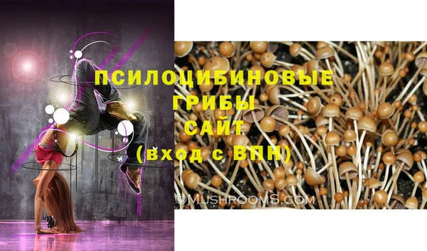 кокс Рославль