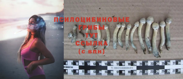дживик Ростов